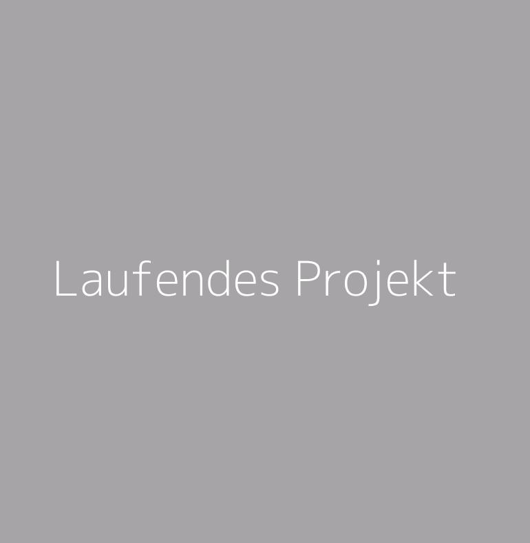 Laufendes Projekt